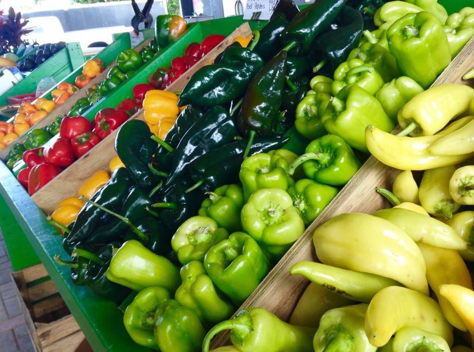 Storing Food Without Refrigeration Blue River Press Books